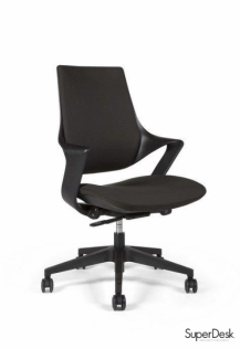 כסר מנהל דגם רון